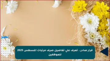 قرار صادر.. تعرف على تفاصيل صرف مرتبات أغسطس 2025 للموظفين